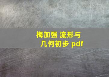 梅加强 流形与几何初步 pdf